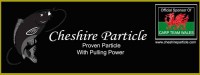 Cheshire Particle