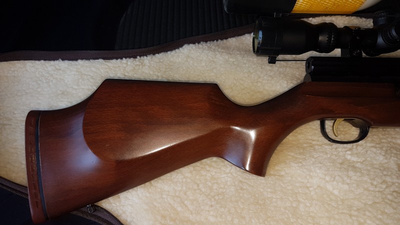 webley raider air rifle