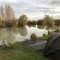 Carpmaster71
